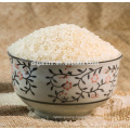 Vietnam jasmine rice